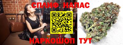 наркотики Шахты