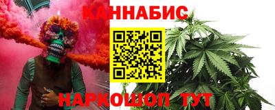 шишки Шелехов