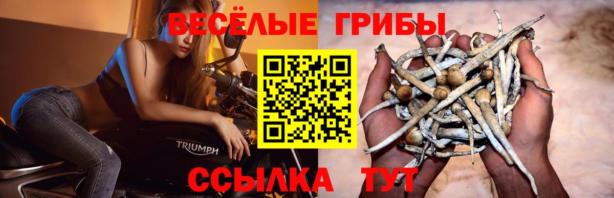 Псилоцибиновые грибы Magic Shrooms Джанкой