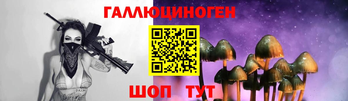 Галлюциногенные грибы Psilocybine cubensis  Вход с VPN  Джанкой 